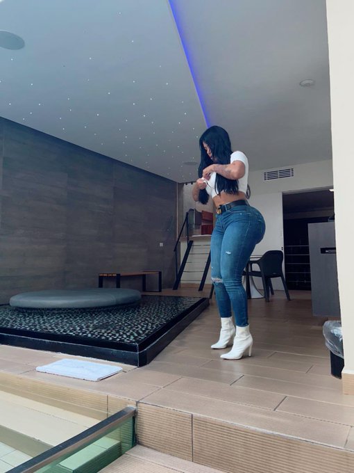 App Versión 19.4 WordPress.org Beta