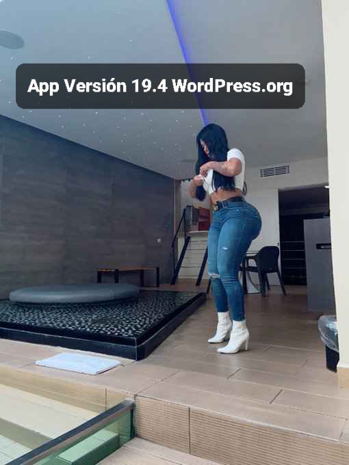 App version 19.4 WordPress 